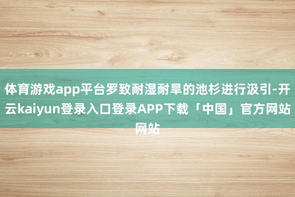 体育游戏app平台罗致耐湿耐旱的池杉进行汲引-开云kaiyun登录入口登录APP下载「中国」官方网站